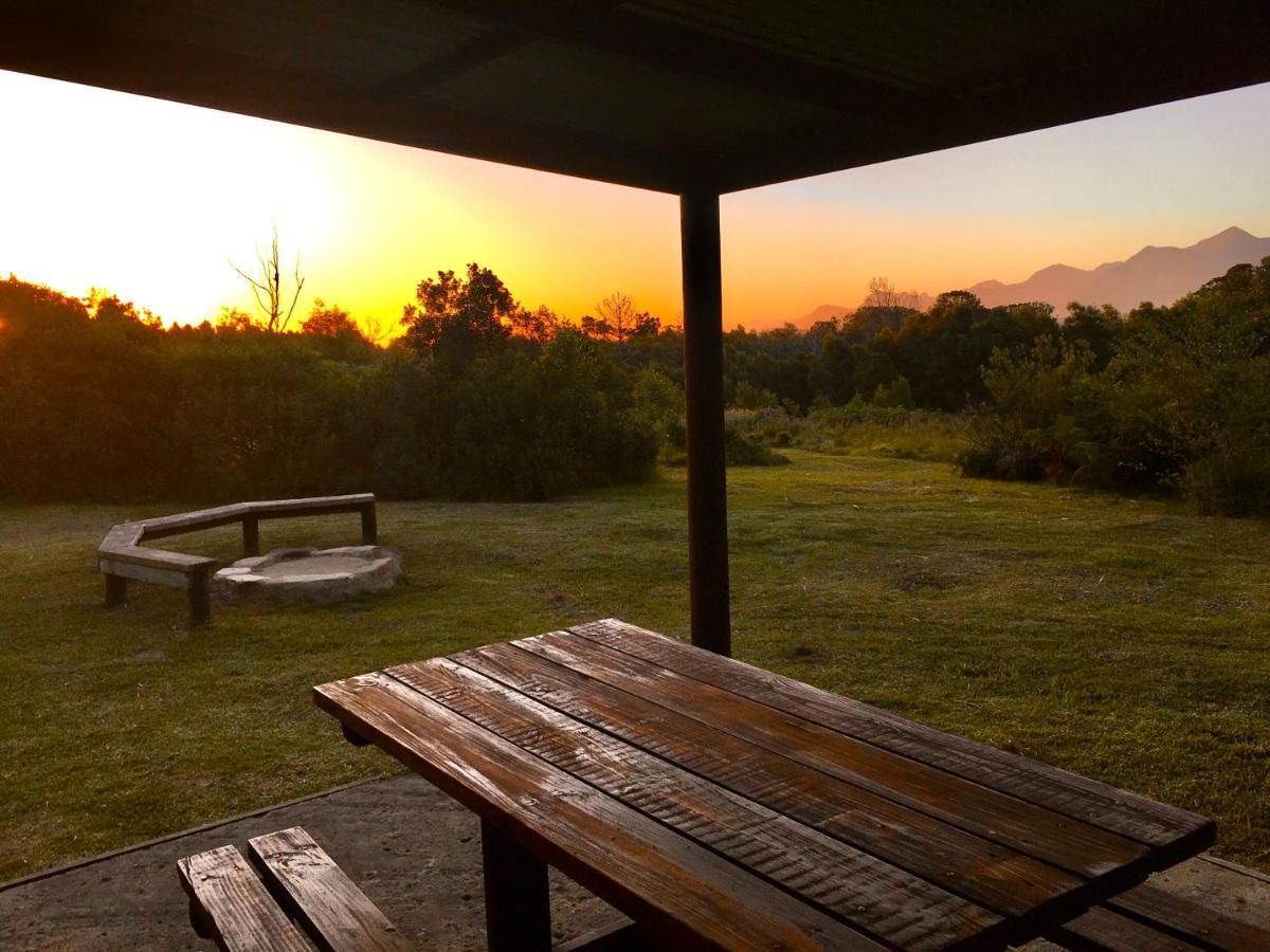 Pura Vida Forest Cabin Witelsbos Dış mekan fotoğraf
