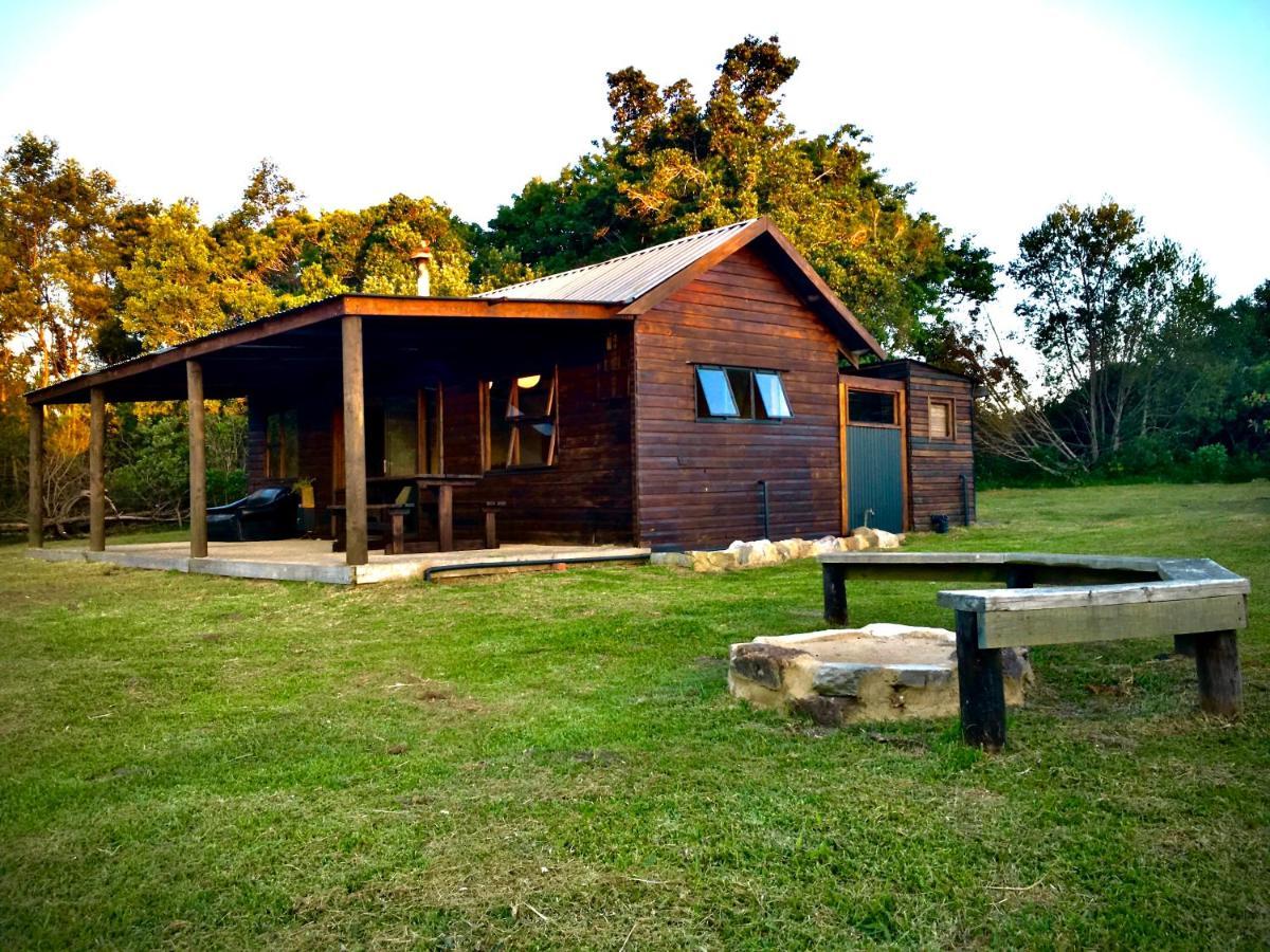 Pura Vida Forest Cabin Witelsbos Dış mekan fotoğraf