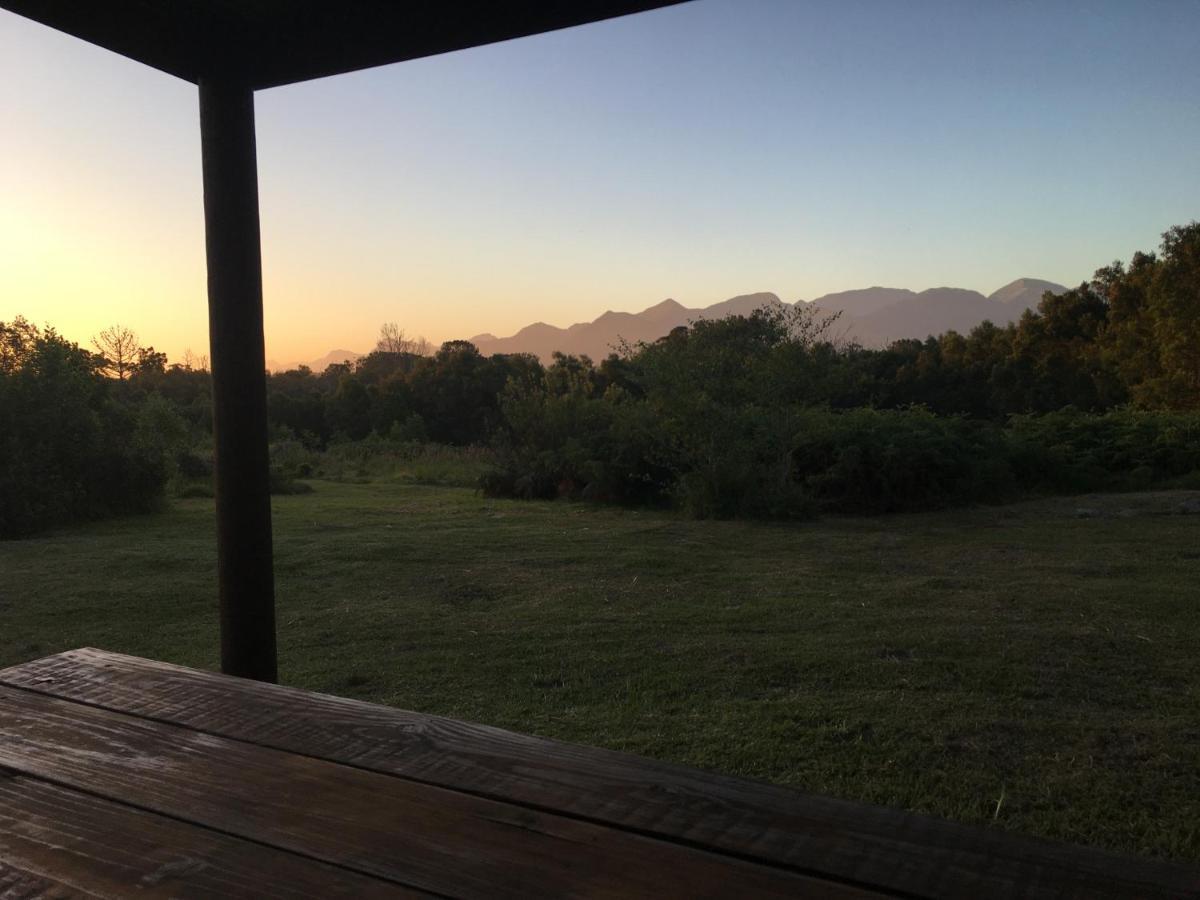 Pura Vida Forest Cabin Witelsbos Dış mekan fotoğraf